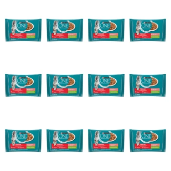 1773269671203-3320-2-x12-4mjwgk.png