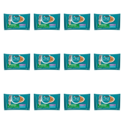 1773269671912-3321-2-x12-ijwg3f.png