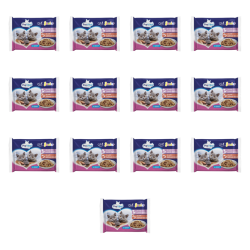 1773269672630-3322-2-x13-8pxel.png
