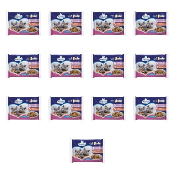 1773269672630-3322-2-x13-8pxel.png