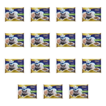 1773269673418-3323-2-x15-kwqyl.png
