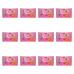 1773269674200-3324-2-x12-c31mi.png