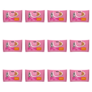 1773269674200-3324-2-x12-c31mi.png