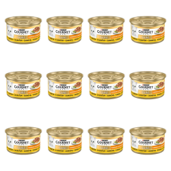 1773269677170-3328-2-x12-x1fz4p.png