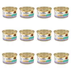 1773269683567-3335-2-x12-lkl9j.png