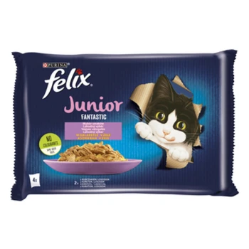 1768501231437-7739-3-di32ff.png
