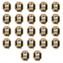 1773269782333-3472-2-x22-te2km0s.png