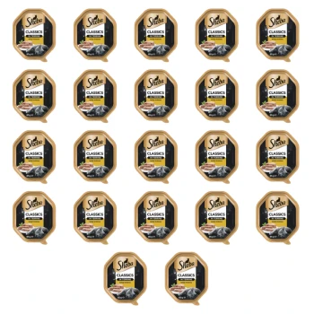 1773269782333-3472-2-x22-te2km0s.png