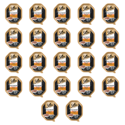 1773269784331-3474-2-x22-zj5cls.png