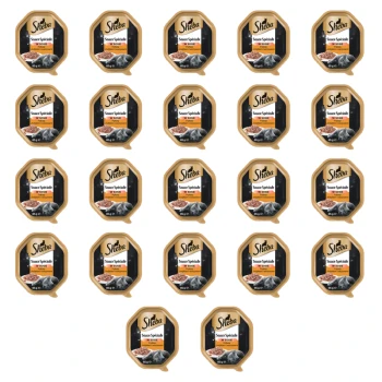 1773269784331-3474-2-x22-zj5cls.png