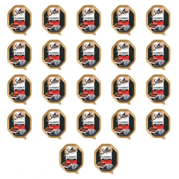 1773269785143-3475-2-x22-rympma.png