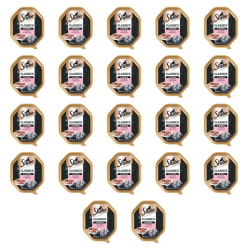 1773269785941-3476-2-x22-pnhgb6.png