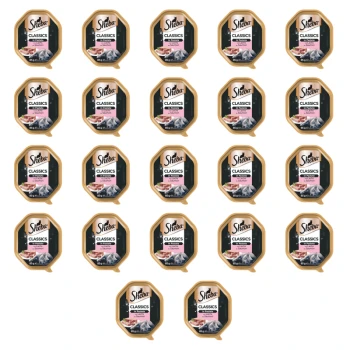 1773269785941-3476-2-x22-pnhgb6.png