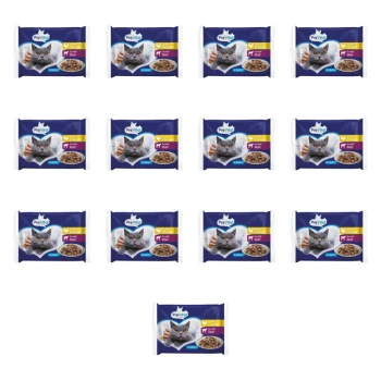 1773269790231-3480-2-x13-9a9ga8.png