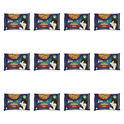 1773269803004-3493-2-x12-y7oc2w.png