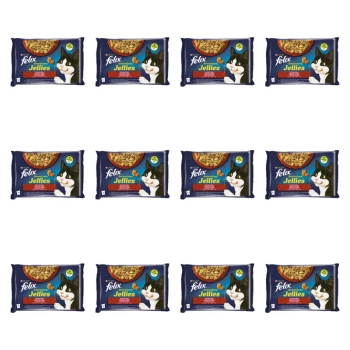 1773269803004-3493-2-x12-y7oc2w.png