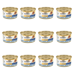 1773269805675-3496-2-x12-nls7up.png