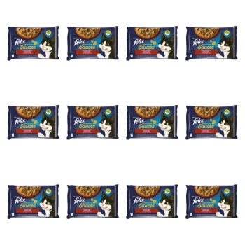 1773269810281-3502-2-x12-wy9kh.png