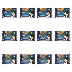 1773269811701-3504-2-x12-3j8gn.png