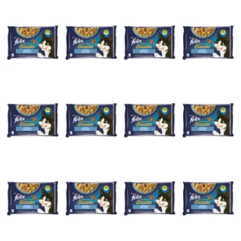 1773269811701-3504-2-x12-3j8gn.png