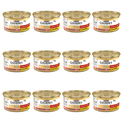 1773269812428-3505-2-x12-fhif9n.png