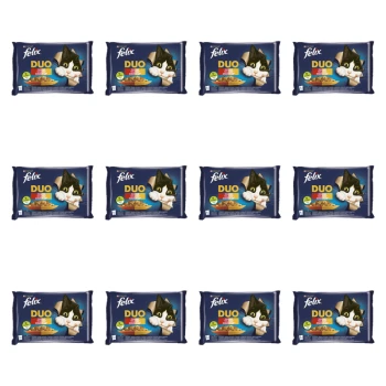 1773269814991-3508-2-x12-vtcom.png