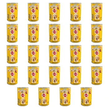 1773269826214-3520-2-x24-0cgv5f.png
