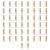 1773269929700-3663-2-x50-so9byb.png