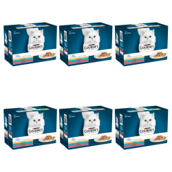 1773270195856-3974-2-x6-iajt7w.png