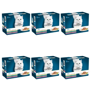 1773270195856-3974-2-x6-iajt7w.png