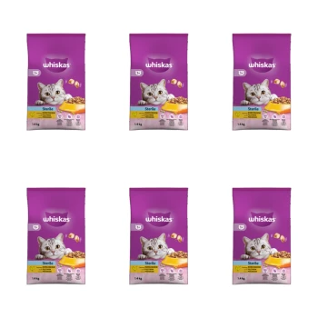 1773270210944-3996-2-x6-jsdsk.png