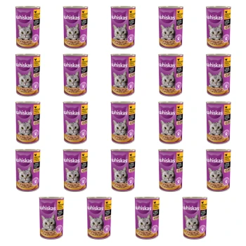 1773270212487-3998-2-x24-3quoui.png