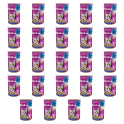 1773270213614-3999-2-x24-pnhsi.png