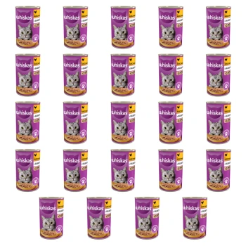 1773270215709-4001-2-x24-6g81dd.png