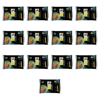 1773270288800-4111-2-x13-peum9.png