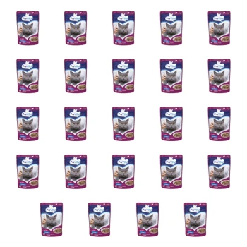 1773270375408-4228-2-x24-0wnuvo.png