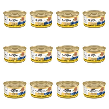 1773270376568-4230-2-x12-yjfv6p.png