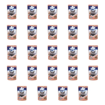 1773270820984-4808-2-x24-ih4ilo.png