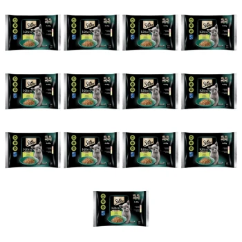 1773271199819-5359-2-x13-scxtqc.png