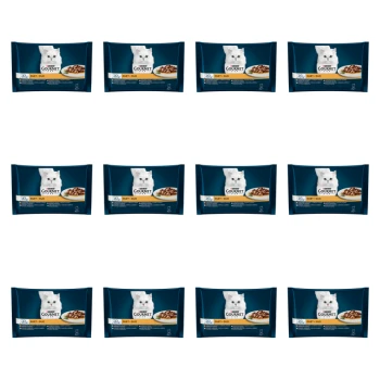 1773271236827-5405-2-x12-kqk5bt.png