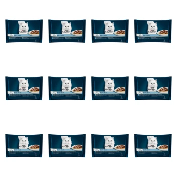 1773271276731-5459-2-x12-ozli1a.png