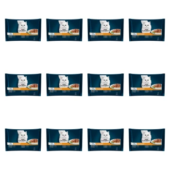 1773271448778-5673-2-x12-y4tuqc.png