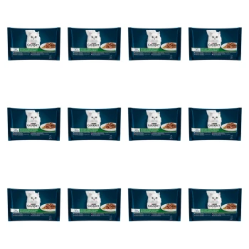 1773271457633-5685-2-x12-sh7wyk.png