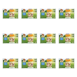 1773271747784-6045-2-x12-q81wli.png