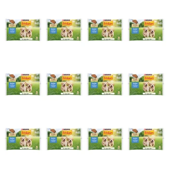 1773271747784-6045-2-x12-q81wli.png