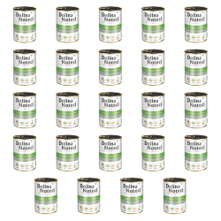 1773272252366-6664-2-x24-ekof7.png