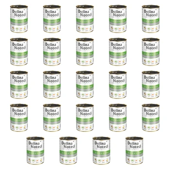 1773272252366-6664-2-x24-ekof7.png
