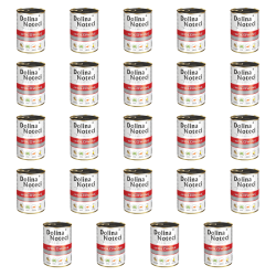 1773272253329-6665-2-x24-75wnk7.png