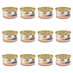 1773272257951-6672-2-x12-zv4n2.png