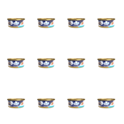 1773272260780-6676-2-x12-ppda6.png